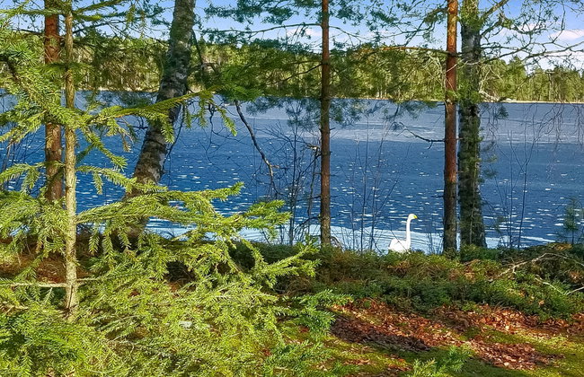 Kesäniitty - Foto 28