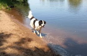 Ferienhaus Bea - Foto 25