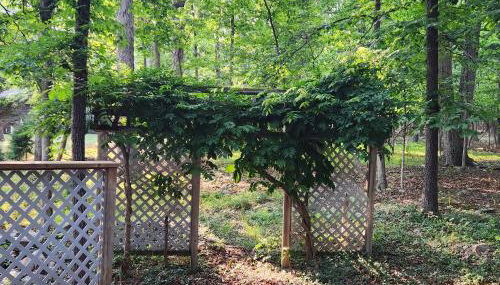 Massanutten Resort Home - Quiet, Convenient, Family- and Pet-Friendly - Foto 3, Garden