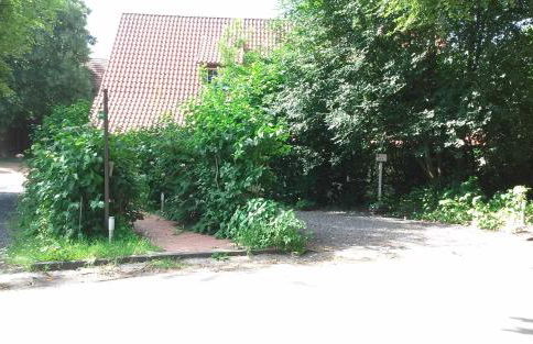 Ferienwohnung An der Königstraße - Foto 13