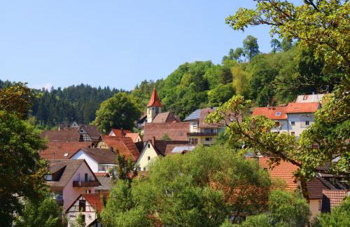 Ferienwohnung im Steinachtal - Foto 20