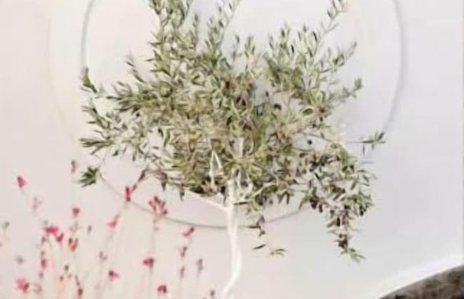 Dar Beldi - Photo 41