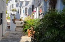 Wild Palms Apartment - Foto 53