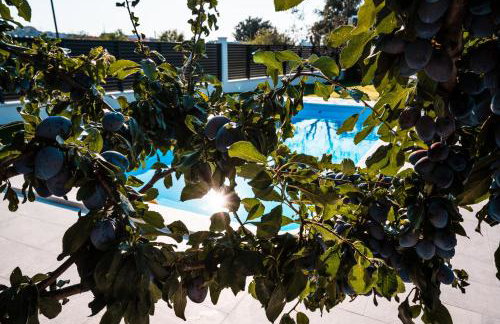 Villa Margita - Foto 45