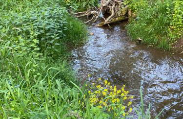 The Cottage at Journey Inn - Foto 24