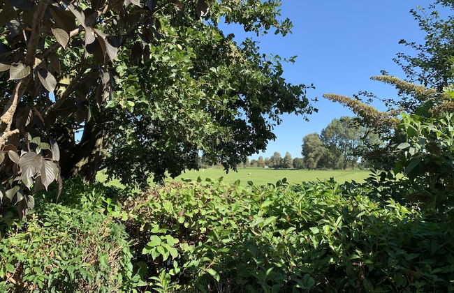 Nice Holiday Home with Dishwasher near Dunes - Photo 33