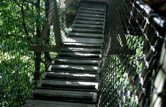 Ô bois dormant - Foto 55