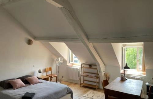 Grande chambre indépendante, charme, calme sur jardin, Nantes centre, accès privé par escalier de l'immeuble, sdb & wc privés, 10 minutes gare et palais des congrès - Foto 2