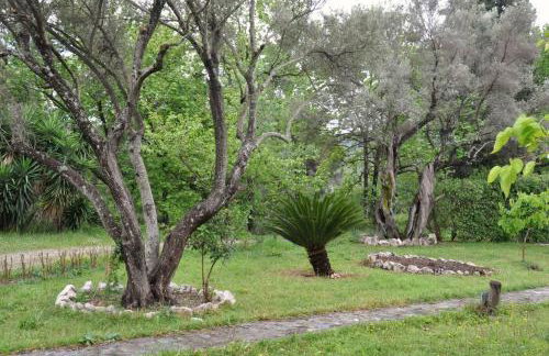Villa Erietta & Villa Ariana near Lefkas center - Foto 49