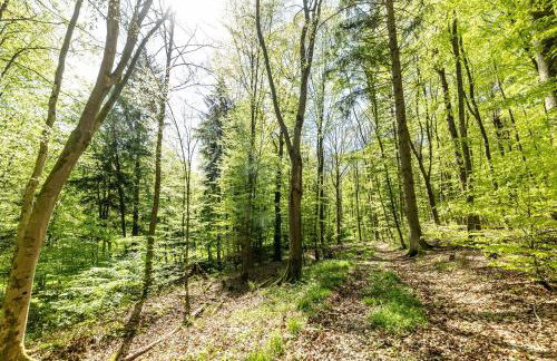 Ferienwohnung Amselstraße - Foto 11