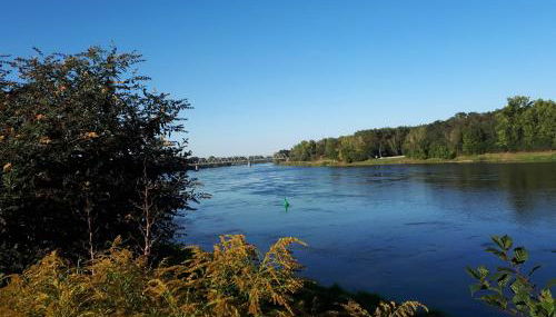 Dachstübchen an der Oder - Foto 4