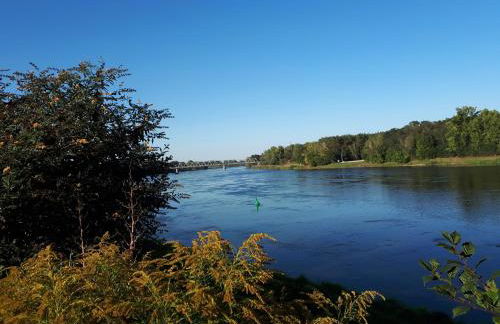 Dachstübchen an der Oder - Foto 17