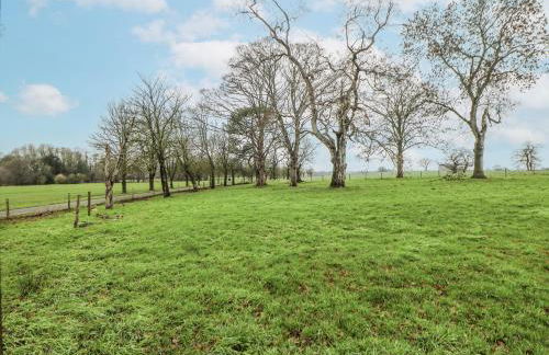 Courtyard View - Photo 37