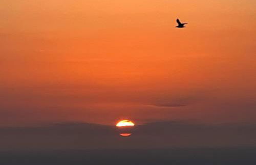 Ty Cam - Of5 - Photo 23