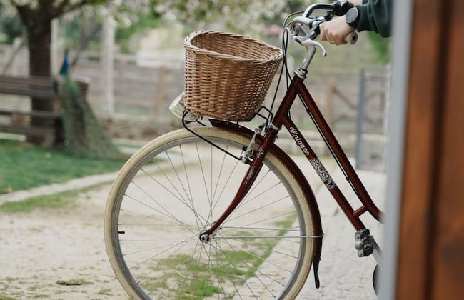 Quintãs Farm Houses - Foto 24