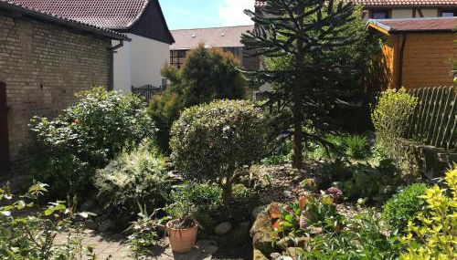 Gesindehaus Börnecke - Foto 4