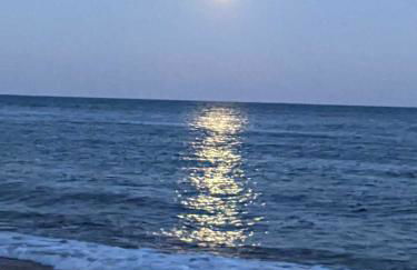 The Retreat - Photo 23