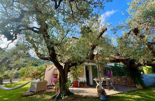 Agriturismo Villa Carducci - Photo 57