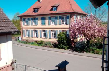 Gästehaus Brunhilde - Foto 11