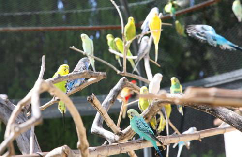 Villa Bellaria - Foto 10