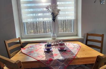 Apartamenty "Natalia" - Foto 35