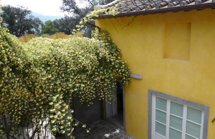 Villa di Campolungo Agriturismo - Foto 50