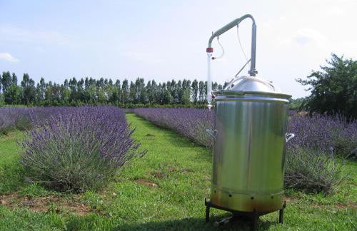 Agriturismo Domus Magna - Foto 22