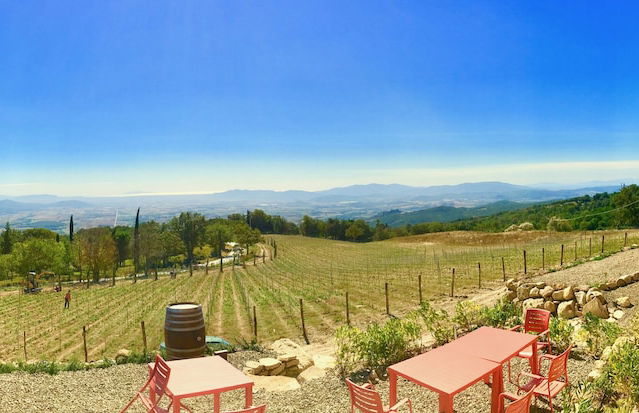 Valdonica Winery & Vineyard Residence - Foto 70