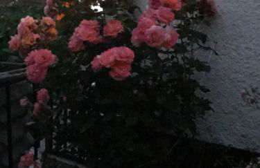 Ferienwohnung mit Terrasse bei Nürnberg - Foto 26