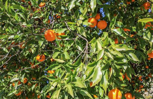 Antica Cantina Emilia - Foto 98