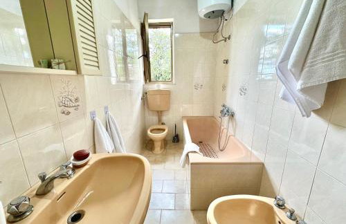 Il castagno - Foto 9