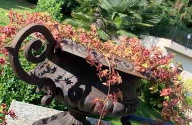 Foresterie MAGNOLIA - Foto 8