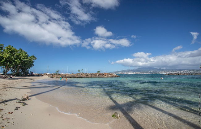 Tangarane - Photo 46