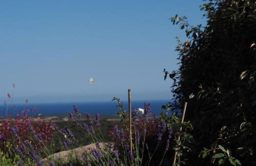 Stazzu Giasti Agriturismo - Photo 23