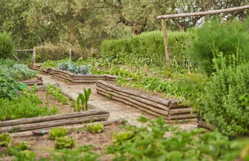 Poggio Piglia - Foto 44