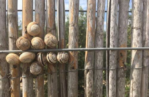 Cortijo Los Garridos - 12 huéspedes - Photo 42