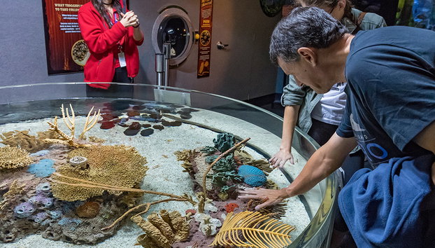 Acquario di Ripley del Canada - Foto 5