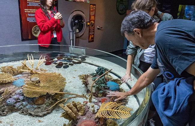 Acquario di Ripley del Canada - Foto 5