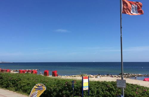 Strandläufer - Foto 31