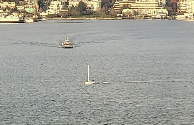 Silverstone Downtown Long-Term stay - Photo 59