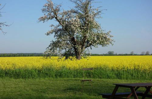 Fachwerkhaus am Fluss - Foto 48