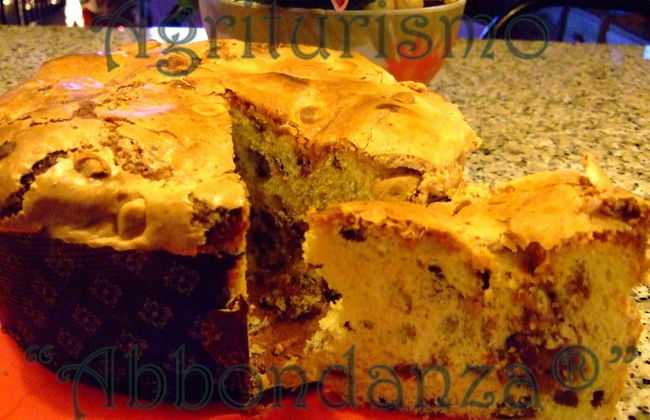 Room in Farmhouse - Agriturismo Abbondanza® - Foto 6