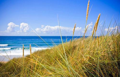 Sheldrake Beach Villa Sea-views Large Garden - Photo 23