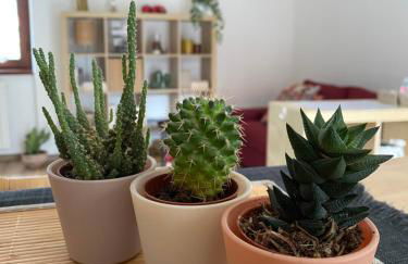 Appartamento Gaia - a due passi dal centro - Foto 8