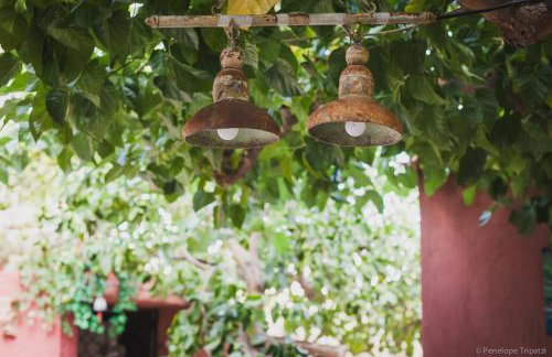 Zacharoulas Katikies - Foto 71