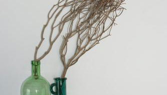 Dock2Apartment Rügen Whg 1 große Terrasse, ruhige Lage - Foto 5