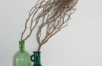 Dock2Apartment Rügen Whg 1 große Terrasse, ruhige Lage - Foto 5