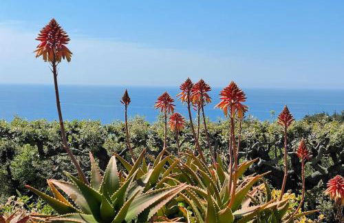 Villa Sorriso mit Pool direkt am Meer - Foto 31