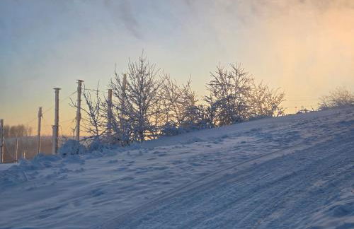 Ferienwohnung Activities & Relax mit privater Sauna - Foto 41