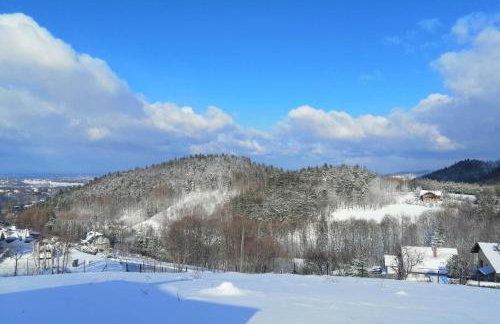 JAWORNICA HOUSE domek z pięknym widokiem - Foto 46